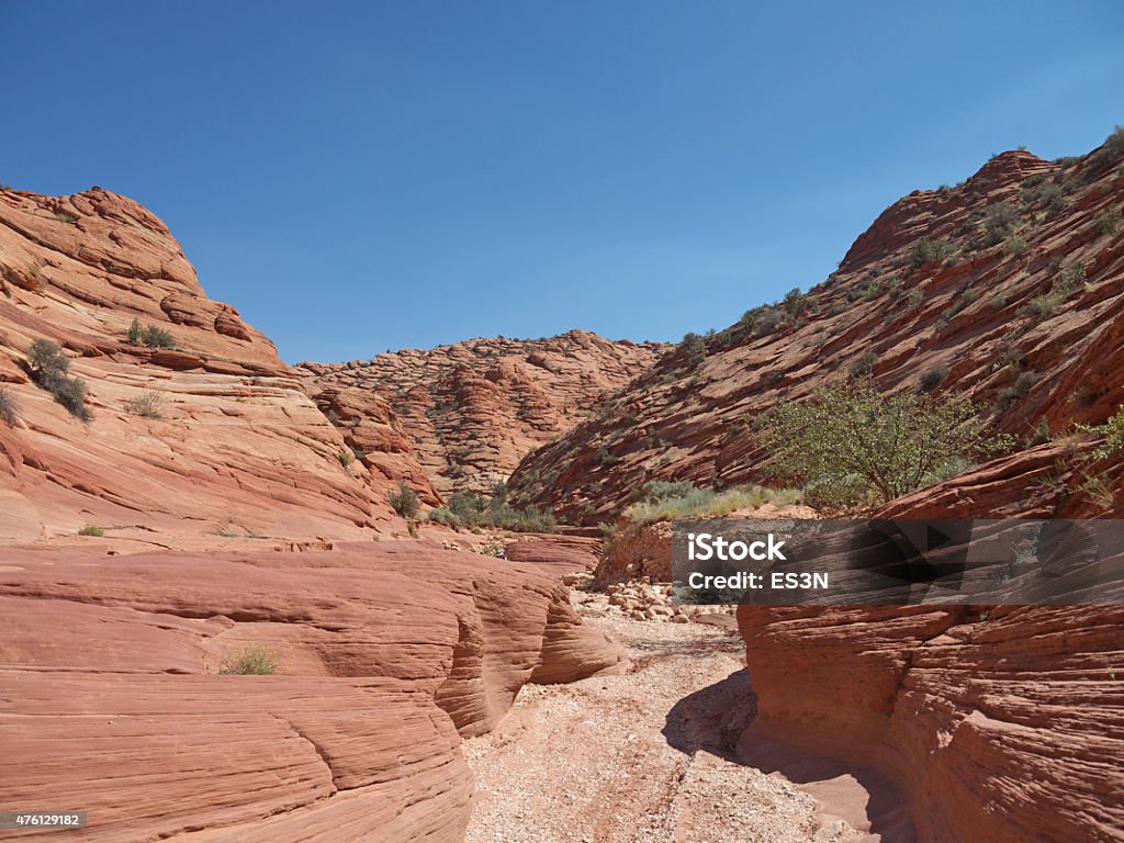 Buckskin Gulch canyon Red layered sandstone walls of Buckskin Gulch canyon, dry riverbed 2015 Stock Photo