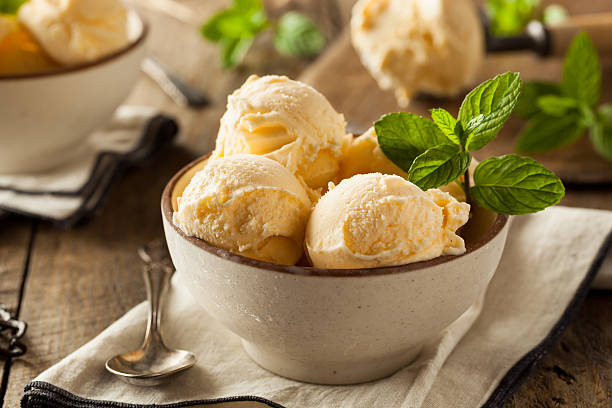Homemade Organic Vanilla Ice Cream