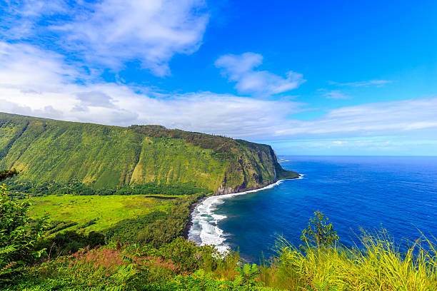 Waipio Valley Lookout The view from Waipi'o Valley Lookout on Big Island, Hawaii. plant png photos stock pictures, royalty-free photos & images