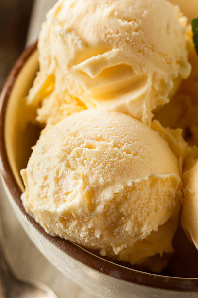 hausgemachte bio-vanille-eis - vanilla ice cream ice ice cream organic stock-fotos und bilder