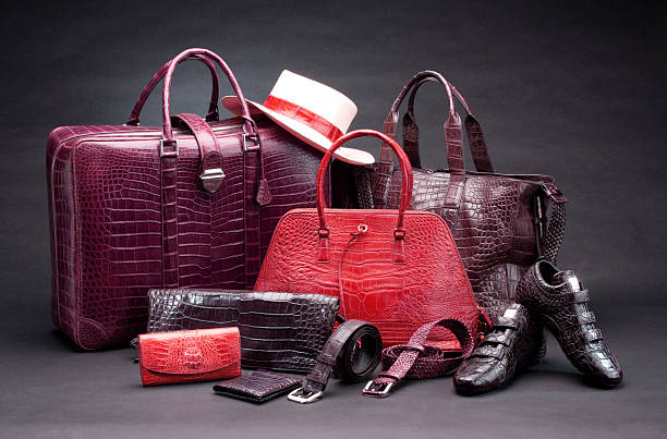 produtos de couro de crocodilo - belt leather fashion women - fotografias e filmes do acervo