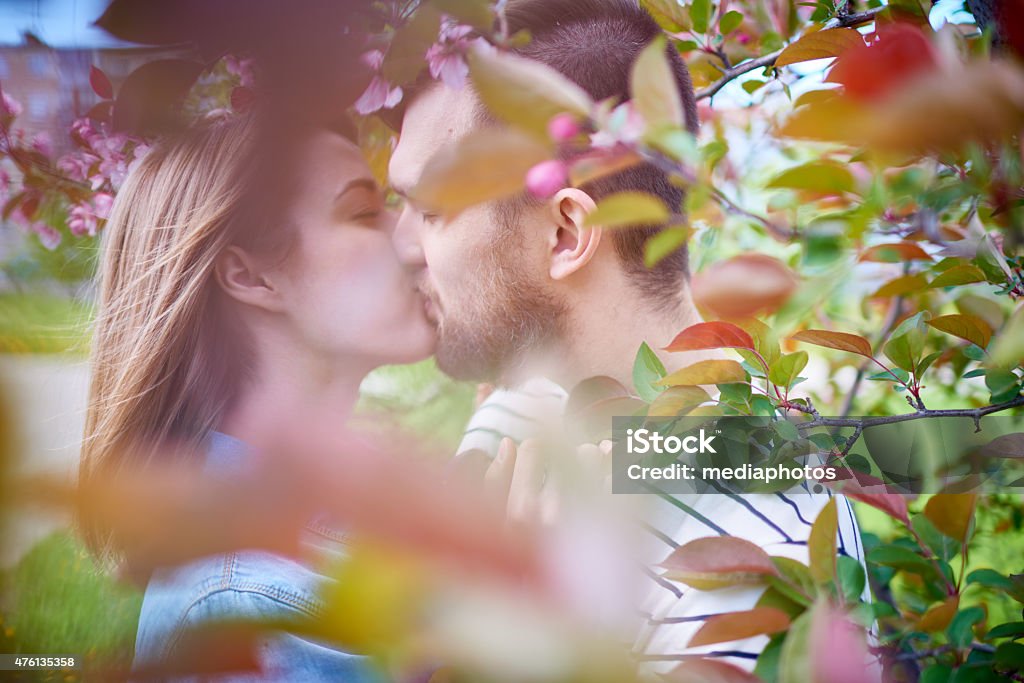 Kiss of love Young couple kissing in park behind tree branches 2015 Stock Photo