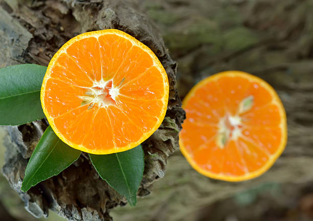 istock Orange fruit on a wooden background 476135620