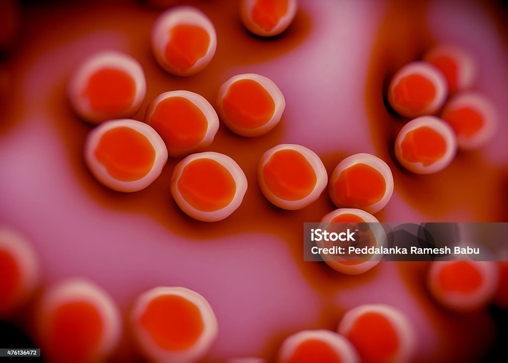 Staph Bug Superbug Or Staphylococcus Aureus Bacteria Stock Photo - Download Image ...