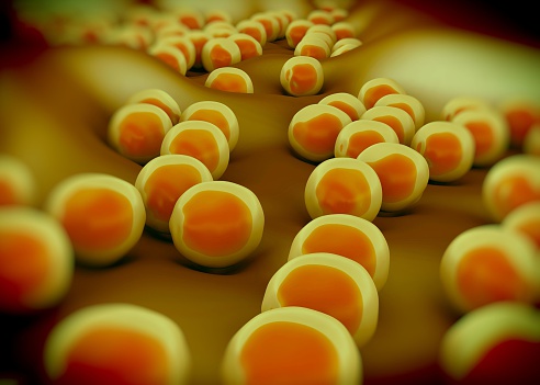 Staph Bug Bakteri Superbug Atau Staphylococcus Aureus Foto Stok - Unduh Gambar ...
