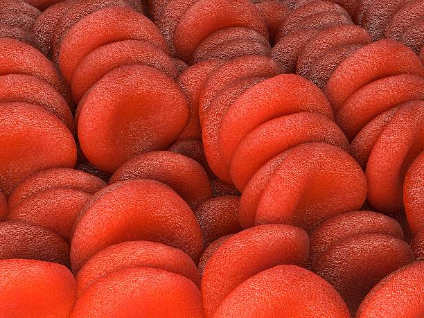 istock Red blood cells, illustration 476136820