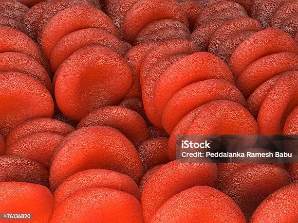 Red Blood Cells Illustration Stock Photo - Download Image Now - Full, 2015, Anatomy