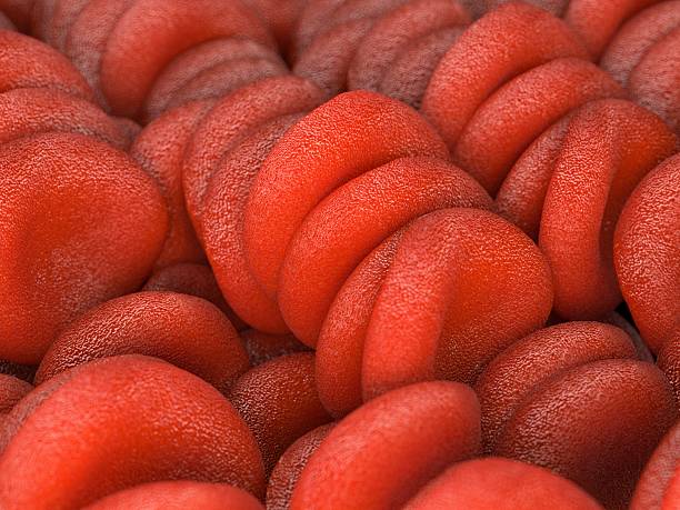istock Red blood cells, illustration 476136822