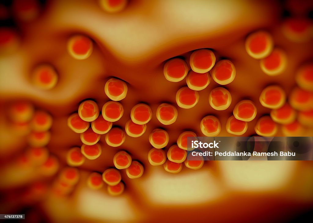 Staph Bug Superbug Or Staphylococcus Aureus Bacteria Stock Photo - Download Image ...