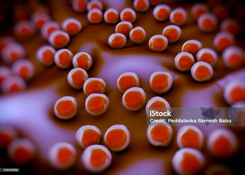 Staph Bug Superbug Or Staphylococcus Aureus Bacteria Stock Photo - Download Image ...
