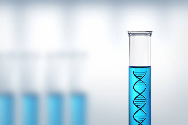 dna 연구 또는 테스트 실험실에서 - chromosome biotechnology laboratory tube 뉴스 사진 이미지