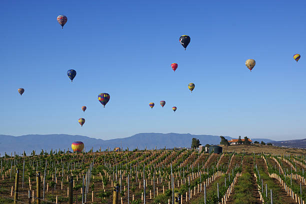 熱気球ソアリングテメキュラワインのブドウ園を - temecula riverside county california southern california ストックフォトと画像
