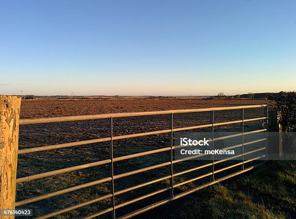 Foto de Portão De Campo e mais fotos de stock de Aberto - Aberto, Agricultura, Campo