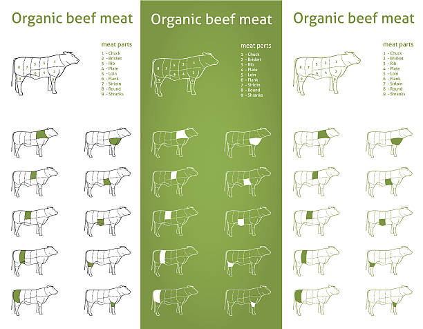 オーガニックの牛の肉を設定 - chuck steak点のイラスト素材／クリップアート素材／マンガ素材／アイコン素材