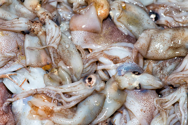 istock fresh squids at the market 476140876