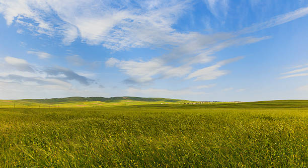 istock Cultivated fields in the mountains of Gobustan (Azerbaijan) 476141302
