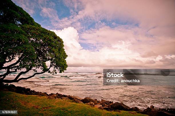 오아후 노스 쇼어 하와이 미국 0명에 대한 스톡 사진 및 기타 이미지 - 0명, 노스 쇼어-오아후, 목가적인