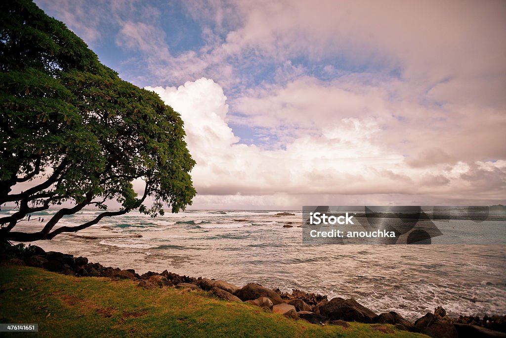 North Shore, Oahu, Hawaje,, USA - Zbiór zdjęć royalty-free (Bez ludzi)