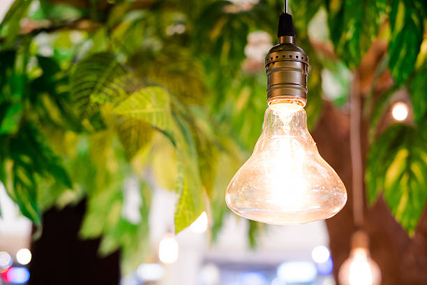 istock vintage tungsten lightbulbs hanging on tree with bokeh backgroun 476144016