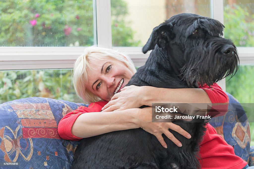 Blonde middle-aged woman is embracing the dog Blonde middle-aged woman is sitting on the sofa and is smiling to the camera. Woman is embracing the big black schnauzer dog. 2015 Stock Photo