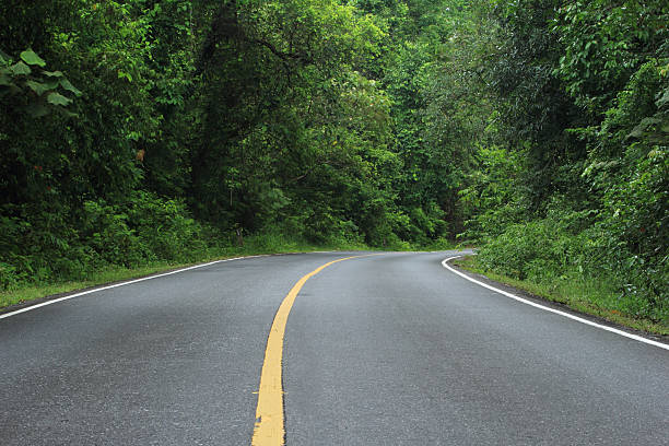 istock Khao yai National Park 476145793