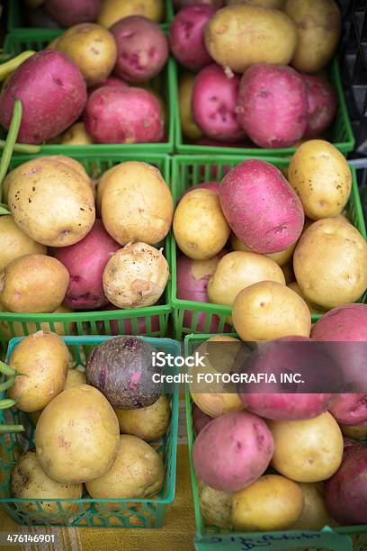 Farmers Market Produkte Stockfoto und mehr Bilder von Ausverkauf - Ausverkauf, Bauernmarkt, Behälter