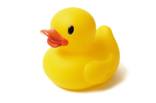 Yellow rubber duck isolated on white background