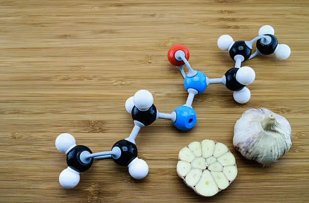 Allicin is an organosulfur compound obtained from garlic (Black= C, Red=O, Blue=S, White=H) It has antimicrobial activity and reduce cholesterol and blood pressure