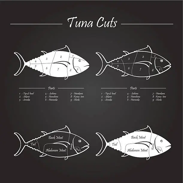 Vector illustration of TUNA meat cuts scheme