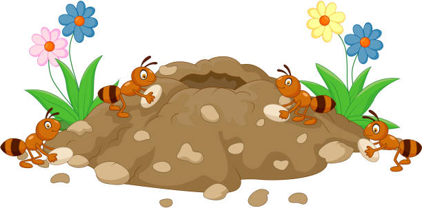 Cartoon Anthill in the forest land Vector illustration of Cartoon Anthill in the forest land anthill stock illustrations