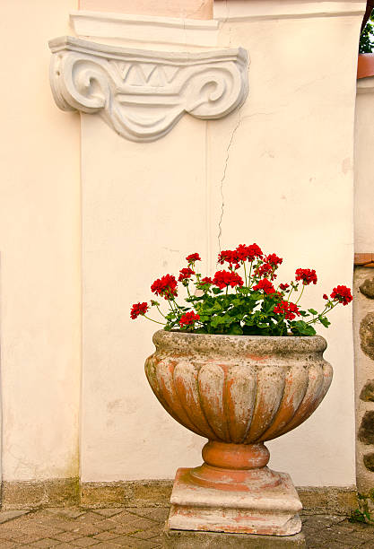 istock retro vase with flowers and old wall 476152005
