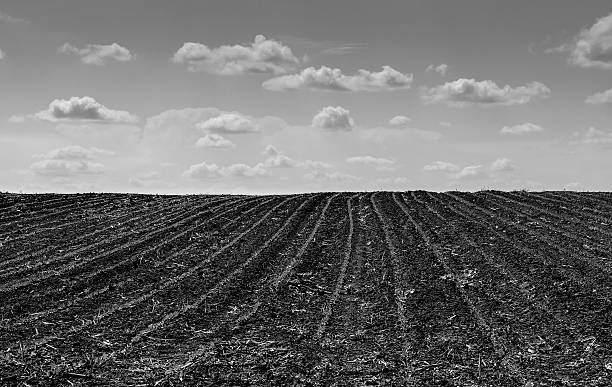istock Lost in the field 476155818