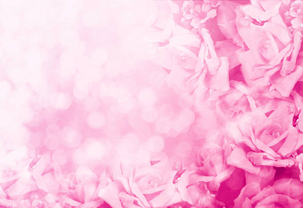 istock beautiful flowers made with color filters 476156320