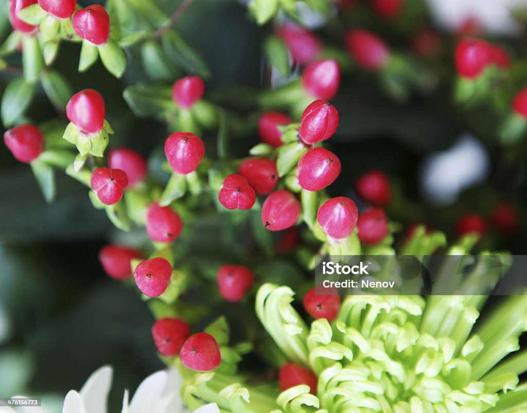 Picture of Beautiful Flowers Picture of Beautiful Flowers. Agricultural Field Stock Photo