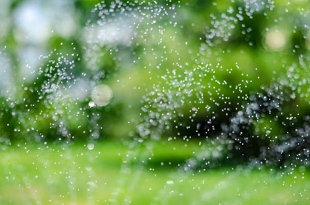 istock to water a lawn drops 476156982