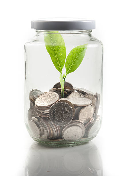 istock Coins and plant in glass on white background 476157292