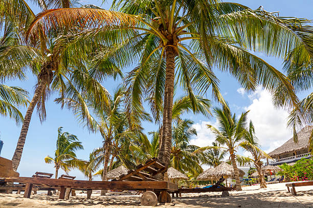 istock Under palm trees in Watamu Bay, Kenya - Africa 476157571
