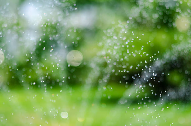 istock to water a lawn drops 476158104