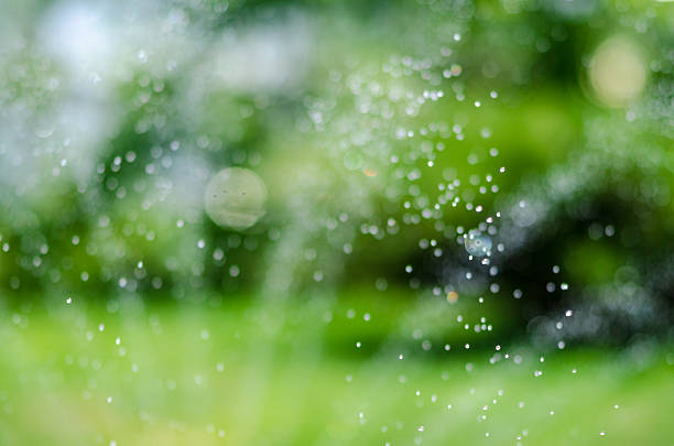 istock to water a lawn drops 476158476