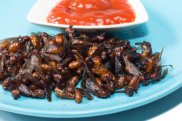Photo of fried  subterranean ants with chili sauce