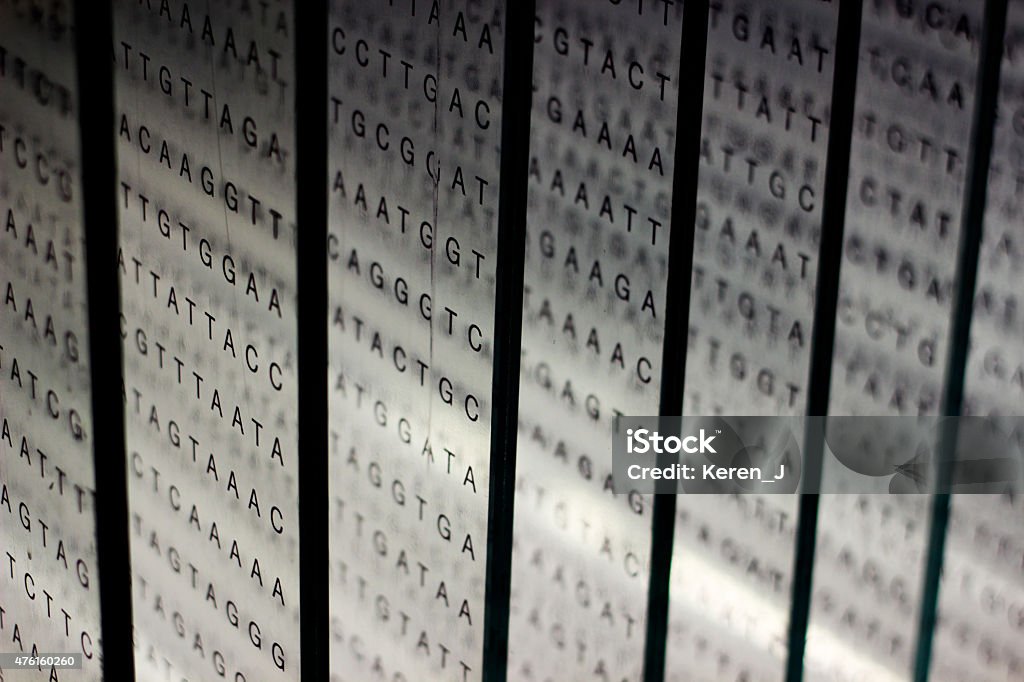 printout of DNA nucleotide sequence on glass DNA Stock Photo