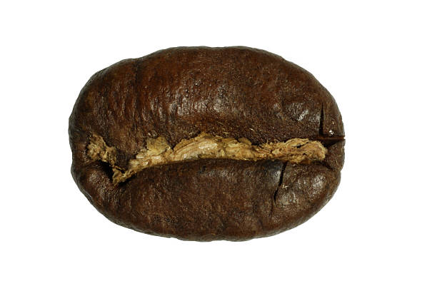 bean coffee stock photo