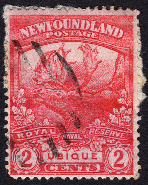 istock Postage stamp showing a moose, a symbol of Canada 476162705
