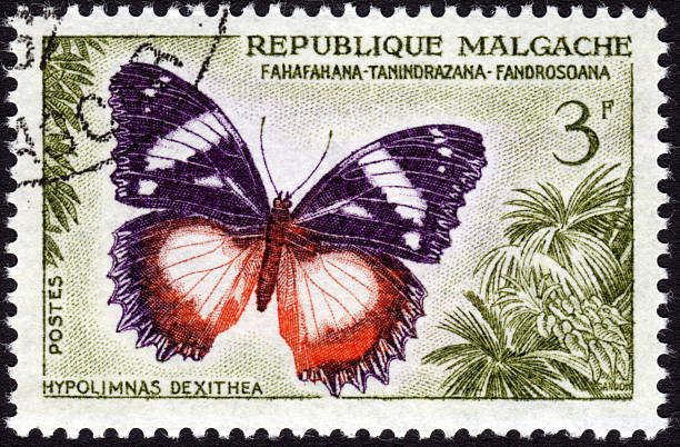 istock Butterfly depicted on postage stamp 476162871