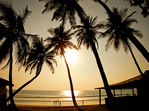 istock Beautiful golden sunset on the beach, GOA, India 476163915