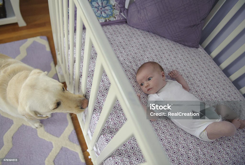 Bebé niña y su perro - Foto de stock de Cuna libre de derechos