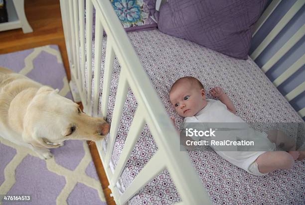 Bebé Niña Y Su Perro Foto de stock y más banco de imágenes de Cuna - Cuna, Perro, Alerta