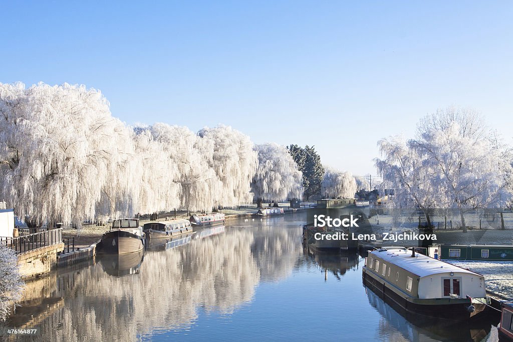 Winter willow tree Winter willow tree at the riverside, Great Ouse river, Cambridgeshire, Ely Winter Stock Photo