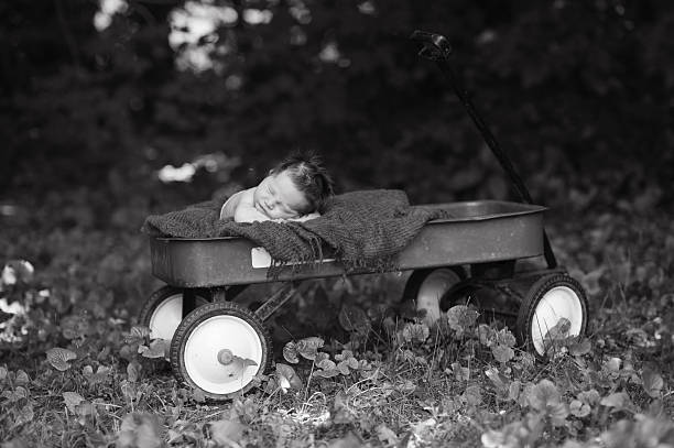 istock Newborn Baby Sleeping in a Toy Wagon Outside 476164953