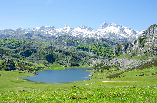 istock Lakes of Covadonga 476165319
